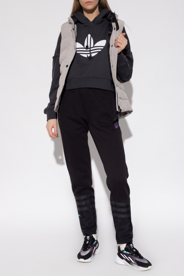 Adidas originals women's shop eqt hoodie ash grey